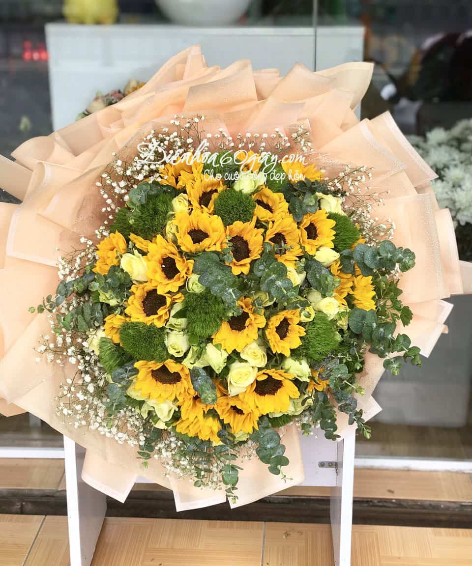 Sun Flowers vs Wicky 02